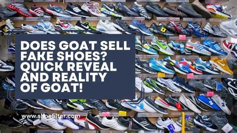 are shoes on goat fake|is goat reliable for shoes.